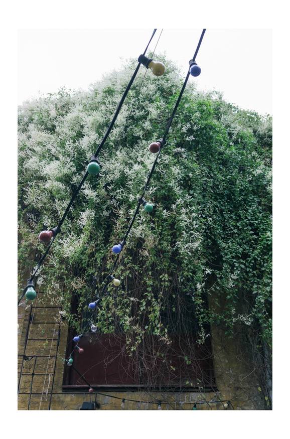 Enghavevej Pato (1 of 1)-11.jpg